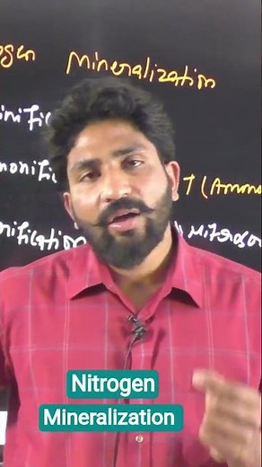 Nitrogen Mineralization