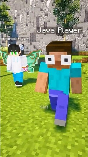 Minecraft Java vs Bedrock 💀