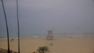 Blackies Surf Report, Surf Forecast and Surf Cams - Surfline