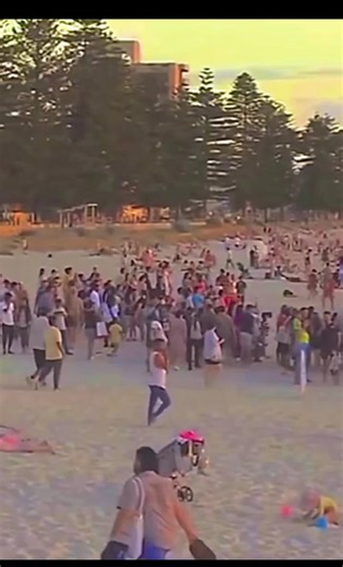 Adelaide has the best of all worlds - vibrant city life, buzzing cafés, restaurants, and culture, then stunning beaches just minutes away, world-class wineries, the Adelaide Hills, and friendly wildlife all just minutes apart 🌆🌊🍷🌿 From fast-paced city days to slow, scenic escapes, this city gives you every way to live your best life ❤️ 🌆🌊 Whether you’re chasing career goals, coastal vibes, or a perfectly balanced lifestyle, this city lets you choose your own pace. | South Australia Events 