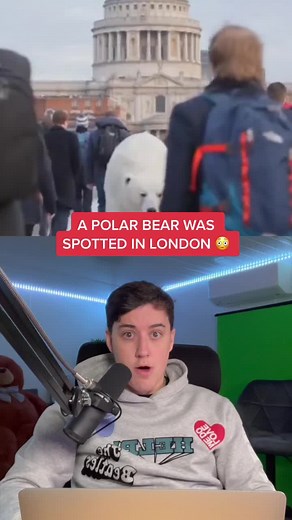 Realistic Polar Bear Puppet Spotted in London Streets | 2015 Video