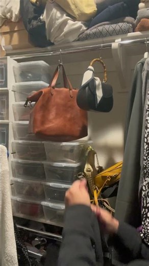 Amazon Purse Organizer Hook | Easy Closet Organization Hack
