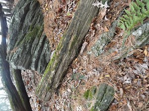 Ancient Geology: Looking Back to Tolland's Beach Days