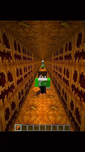 Pumpkin illusion Minecraft 🤯