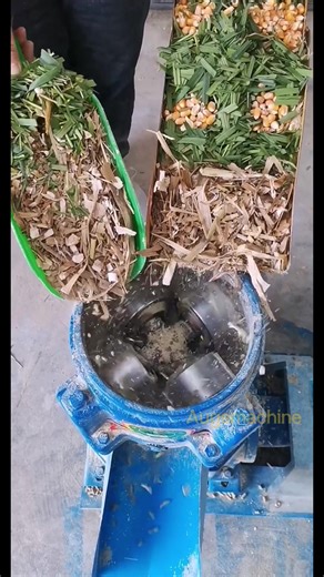 Pellet machine test. #pelletmaker #pelletmachine #pelletmachineline #pelletmachinefactory #feedpellet #pellet #foragemixer #feedgranulator #sheepfeed #cowfeeding #haycutter #grasscutter #grassmill #forage #grass #grasschopper #cornmill