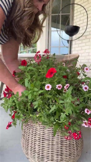 These baskets are not just for Christmas ! 🌺