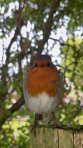 Happy Friday 🤗 Bob 🙌🥰 | Putman and Robin