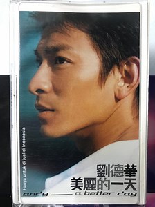 Andy Lau / 劉德華 - A Better Day / 美麗的一天