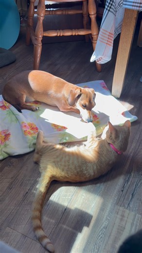 47 reactions · 11 comments | Sherri Truax on Reels | Facebook