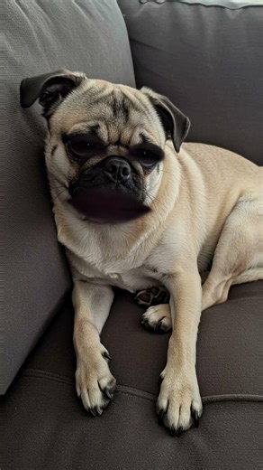 Not my problem #foryou #viral #shorts