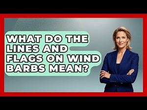 What Do The Lines And Flags On Wind Barbs Mean? - Weather Watchdog