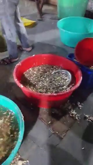 𝗙𝗮𝗸𝗲 𝗚𝗶𝗻𝗴𝗲𝗿-𝗚𝗮𝗿𝗹𝗶𝗰 𝗠𝗮𝗻𝘂𝗳𝗮𝗰𝘁𝘂𝗿𝗶𝗻𝗴 𝗨𝗻𝗶𝘁 𝗶𝗻 𝗞𝗮𝘁𝘁𝗲𝗱𝗮𝗻 𝗦𝗲𝗶𝘇𝗲𝗱 𝗯𝘆 𝗧𝗮𝘀𝗸 𝗙𝗼𝗿𝗰𝗲 𝗮𝗻𝗱 𝗛-𝗙𝗮𝘀𝘁 𝗧𝗲𝗮𝗺, 𝗢𝘄𝗻𝗲𝗿 𝗛𝗲𝗹𝗱The Commissioner’s Task Force, Khairtabad Zone and H-Fast Team, Hyderabad, raided SKR Food Products in Kattedan and arrested owner Hasan Ali Rupani (55) S/o. Rupani Khasam Bhai, Owner of SKR Food Products R/o. Chirag Ali Lane, Abids for manufacturing adulterated ginger-garlic paste.The unit was operating in unhygienic c