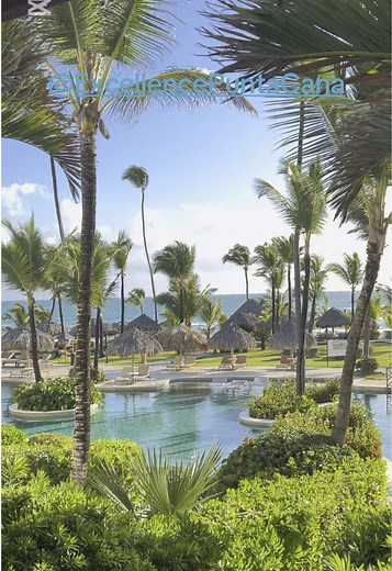 Experience Paradise at Excellence Punta Cana Resort