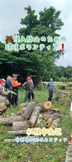 2026クマ🐻ボラ 🐻の侵入を防ぐためエサ場のくるみの木の伐採札幌ボランティア活動