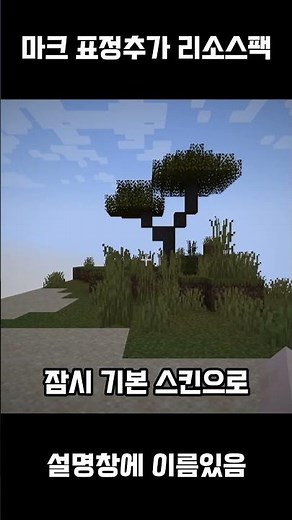 마크 표정추가 리소스팩 적용법!
