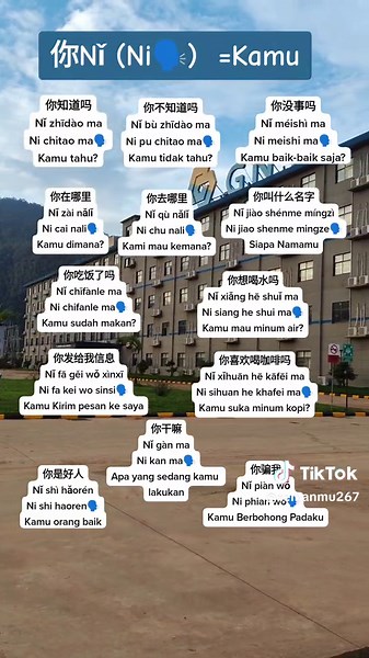 Belajar Mandarin dan Gunbuster Nickel Industry - Sekedar Berbagi PART 23