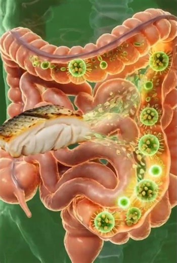 Roasted Fish Benefits & Side Effects Explained with 3D Medical Visuals.#shorts