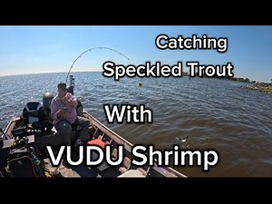 This Bait Changes EVERYTHING for Trout Fishing