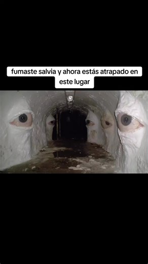 cuando les digo que vi muchos ojos así se ven