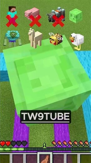 Who Will Win the Rainbow Challenge in Minecraft 🌈🐷🐔 #minecraft #minecraftanimation