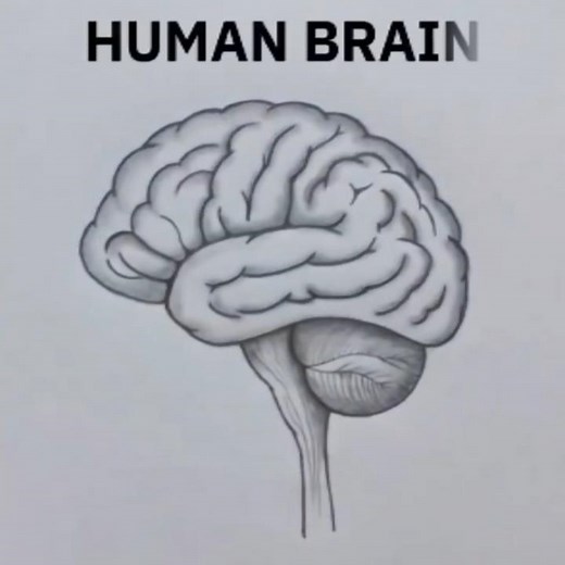 How to Draw a Brain 🧠 #drawing #art #tutorial