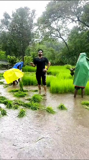 23K views · 285 reactions | PMFBY प्रधान मंत्री फसल बीमा योजना | India Travels | Facebook