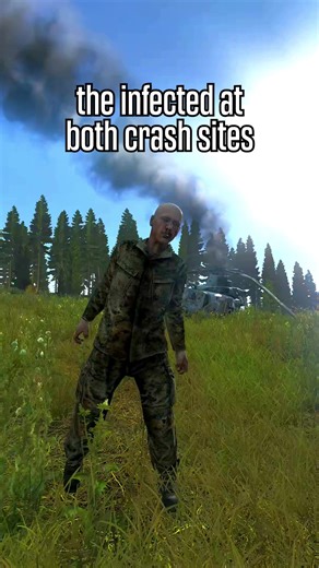 Understanding Helicopter Crashes in DayZ Gameplay