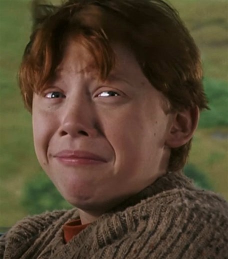 Ron Weasley's Best Moments in Chamber of Secrets