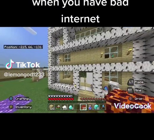 my internet is so trash#minecraft