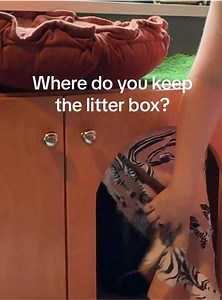 Custom litter box with kitty poo club and litter genie | Girls and Their Cats