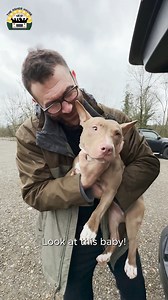 The day a legend was born, Matilda wobbled into my life and nothing was ever the same again ❤️ | The Asher House