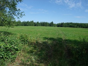 tábor léto 2010 – doskova – album on Rajče