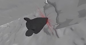 First 3D Simulation of Rat’s Complete Whisker System Acts as a Tactile ‘Camera’