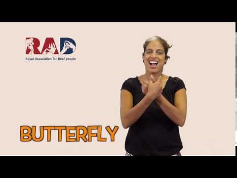 How to sign 'Butterfly' in British Sign Language (BSL)