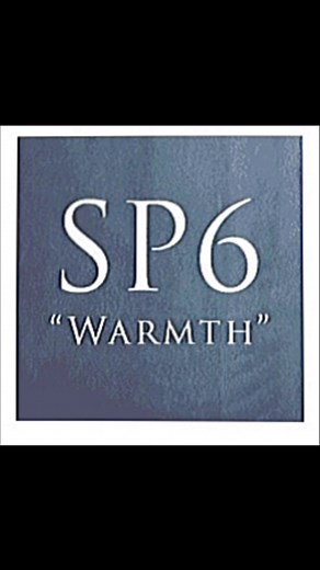 SP6 Enneagram: What Is the Self-Preservation Six (SP6)?