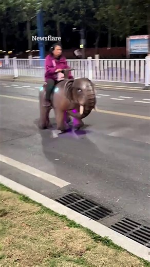17K views · 61 reactions | Shocked onlookers watch on as woman rides giant elephant toy through city streets | The Sun News | Facebook