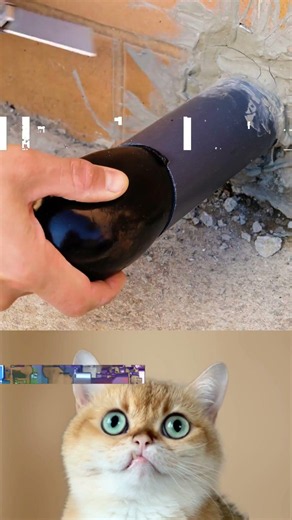 Hilarious Life Hacks That Actually Work! Must-See Fun Solutions