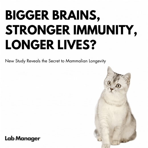 Ever wonder why some mammals outlive others? Turns out, it's not just about size or smarts. ​ A recent study reveals that longer lifespans in mammals are linked to both larger brains and more complex immune systems. ​ From dolphins to mole rats, species with expanded immune-related gene families tend to live longer, suggesting that immunity plays a pivotal role in longevity. ​ It's not just about having a big brain—it's about having a resilient body too. ​ Dive into the full study here: https://