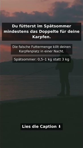 So ruinierst du deinen Karpfenplatz über Nacht