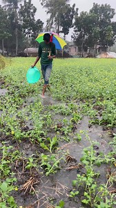 11K views · 57 reactions | Fishing in rainy day | Fishing Tv | Facebook