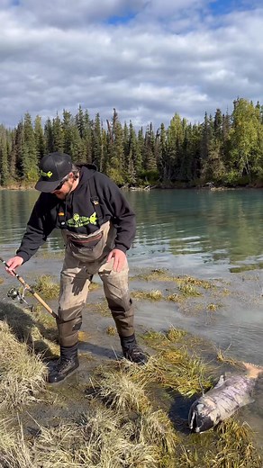 503K views · 5.2K reactions | Best microbrew commercial of all time! Kodiak Custom Spawned Out Lager at St. Elias Brewing Company! #beer #microbrewery #beerlover #fishinglife #collaborationbeer #steliasbrewing #spawnedoutlager #famousdavis #KodiakCustomFishingTackle | KODIAK CUSTOM FISHING TACKLE | Facebook