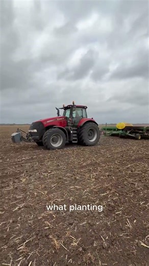 Planting Forage Sorghum