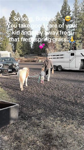 #bubbles #ponies #acuscope #rehab #laminitisrecovery