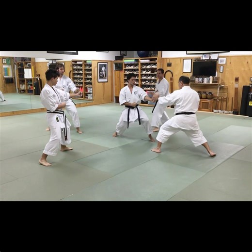 Jiyu Kumite and Shiho Kumite (sparring drills) #karate #gojuryu #kumite #martialarts #karateclass #gojuryu #taekwondo | Okinawa Goju Ryu Karate Do International