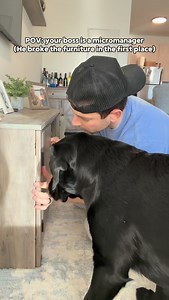 Teamwork makes the dream work #dogsofinstagram | Kasey and Crouton