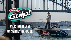 6.5K views · 500 reactions | Fishing for bream on Sydney Harbour with...