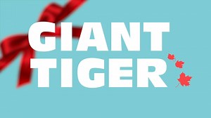 241K views · 447 reactions | Join us as we celebrate the holiday season with some of our friends as they offer tips, DIYs, and gift ideas to make the season bright! | Giant Tiger | Facebook