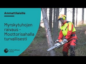 Myrskytuhojen raivaus - Moottorisahalla turvallisesti