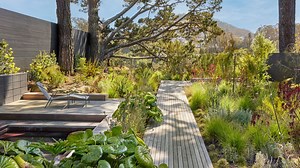 Meet the Landscape Designers on the AD100 2024 List
