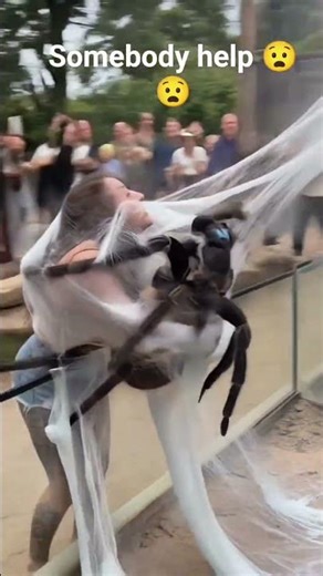 Giant spider cocoon #horror #shortsvideo #shorts